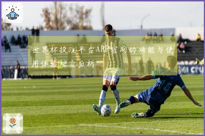 世界杯投注平台APP官网的功能与使用体验综合分析