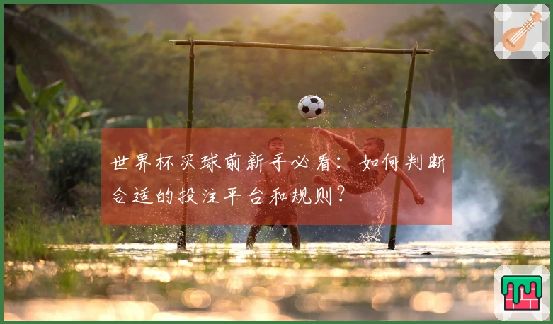 世界杯买球前新手必看：如何判断合适的投注平台和规则？
