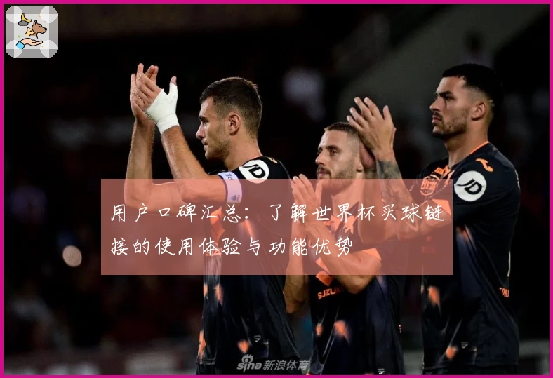 用户口碑汇总：了解世界杯买球链接的使用体验与功能优势