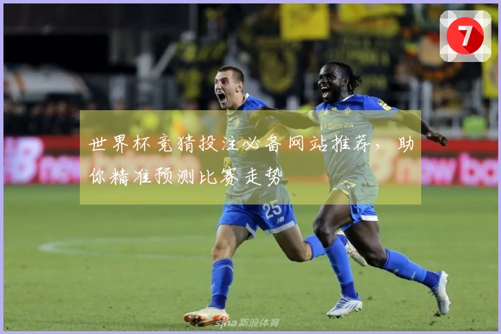 世界杯竞猜投注必备网站推荐,助你精准预测比赛走势
