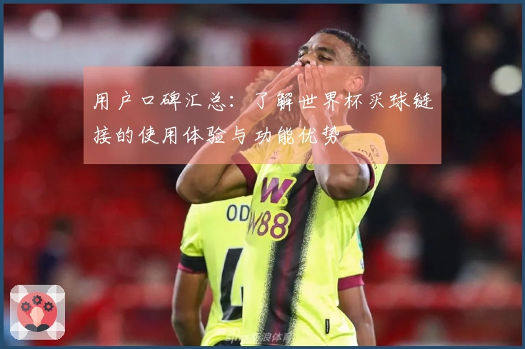 用户口碑汇总：了解世界杯买球链接的使用体验与功能优势