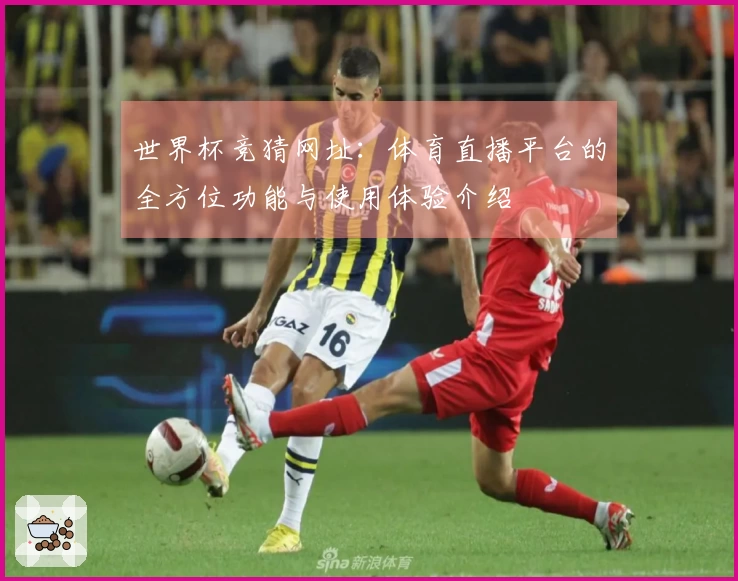 世界杯竞猜网址：体育直播平台的全方位功能与使用体验介绍