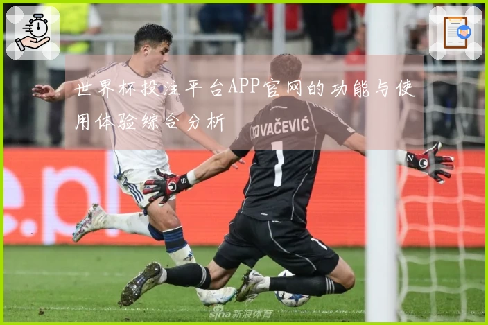 世界杯投注平台APP官网的功能与使用体验综合分析